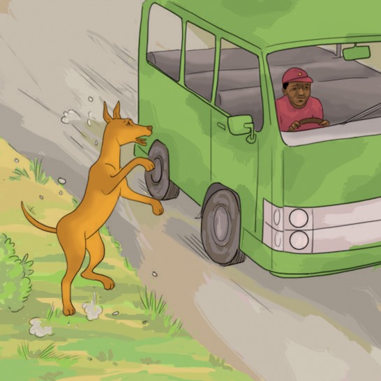 A dog looking inside a car driving past.