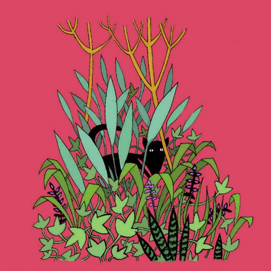 A cat hiding amongst flowers.