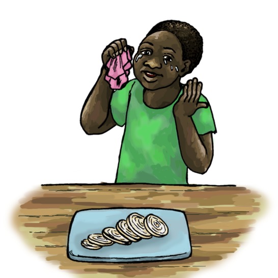 A boy wiping his tears in front of a plate of chopped onions.