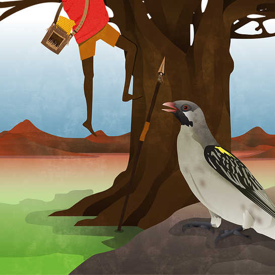 A bird sitting on a rock and a man climbing down from a tree.