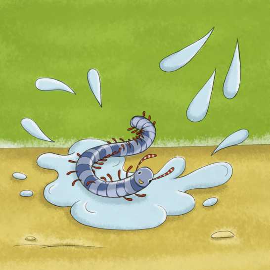 A millipede in a puddle of spit.