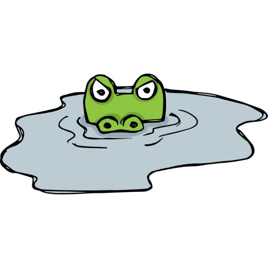 A crocodile in water.