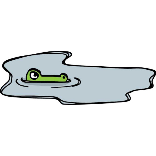 A crocodile swimming in water.