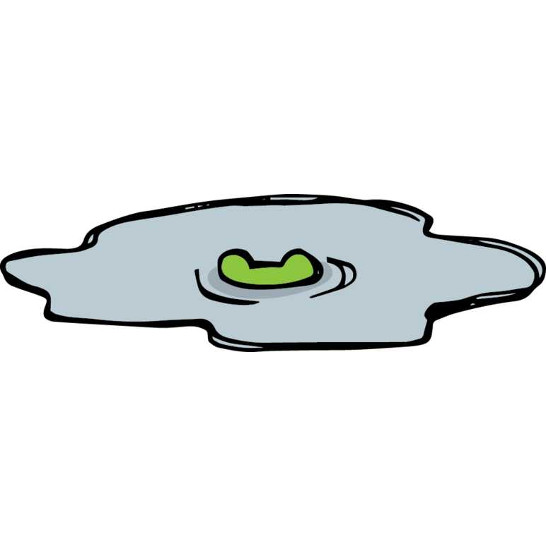 A crocodile disappearing into the water.