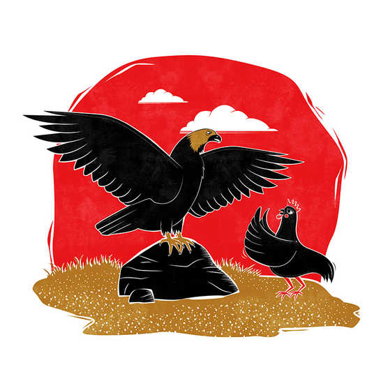 An eagle standing on a rock looking down at a hen.