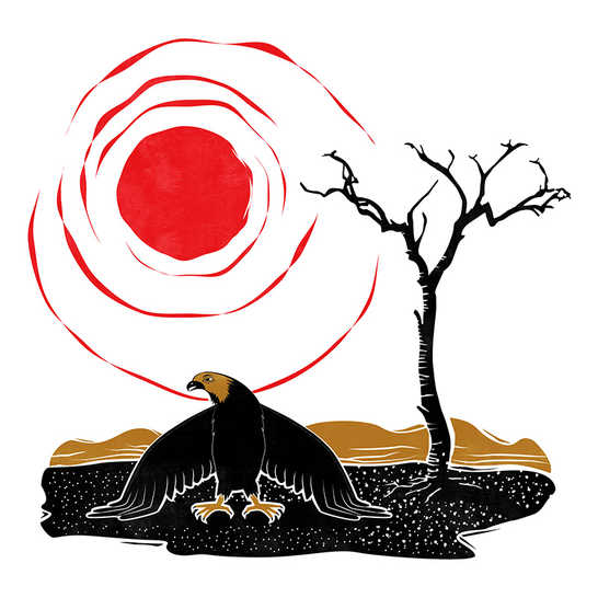 A tired-looking eagle sitting next to a bare tree.