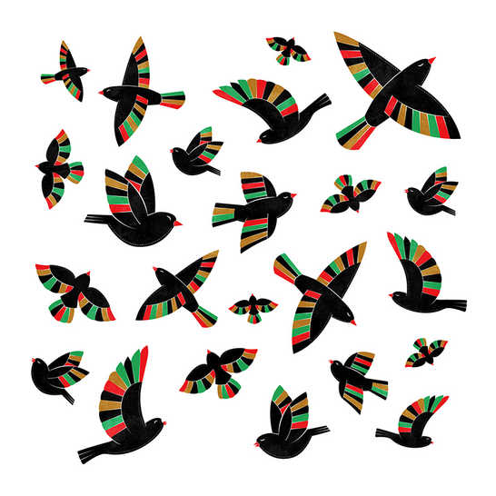 Lots of birds with beautiful wings flying.