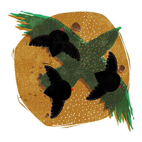 The shadow of an eagle in the sand and three chicks running.