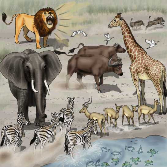 A lion roaring at animals next to the water.